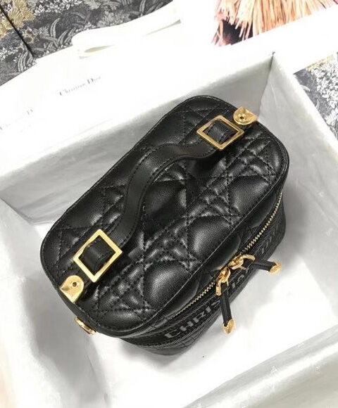 Christian Dior The Leather Vanity Bag Black